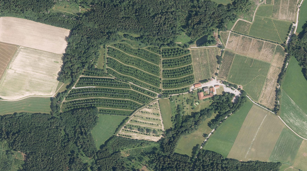 Luftbild der Baumplantage in Markt Windorf aus dem Jahr 2024